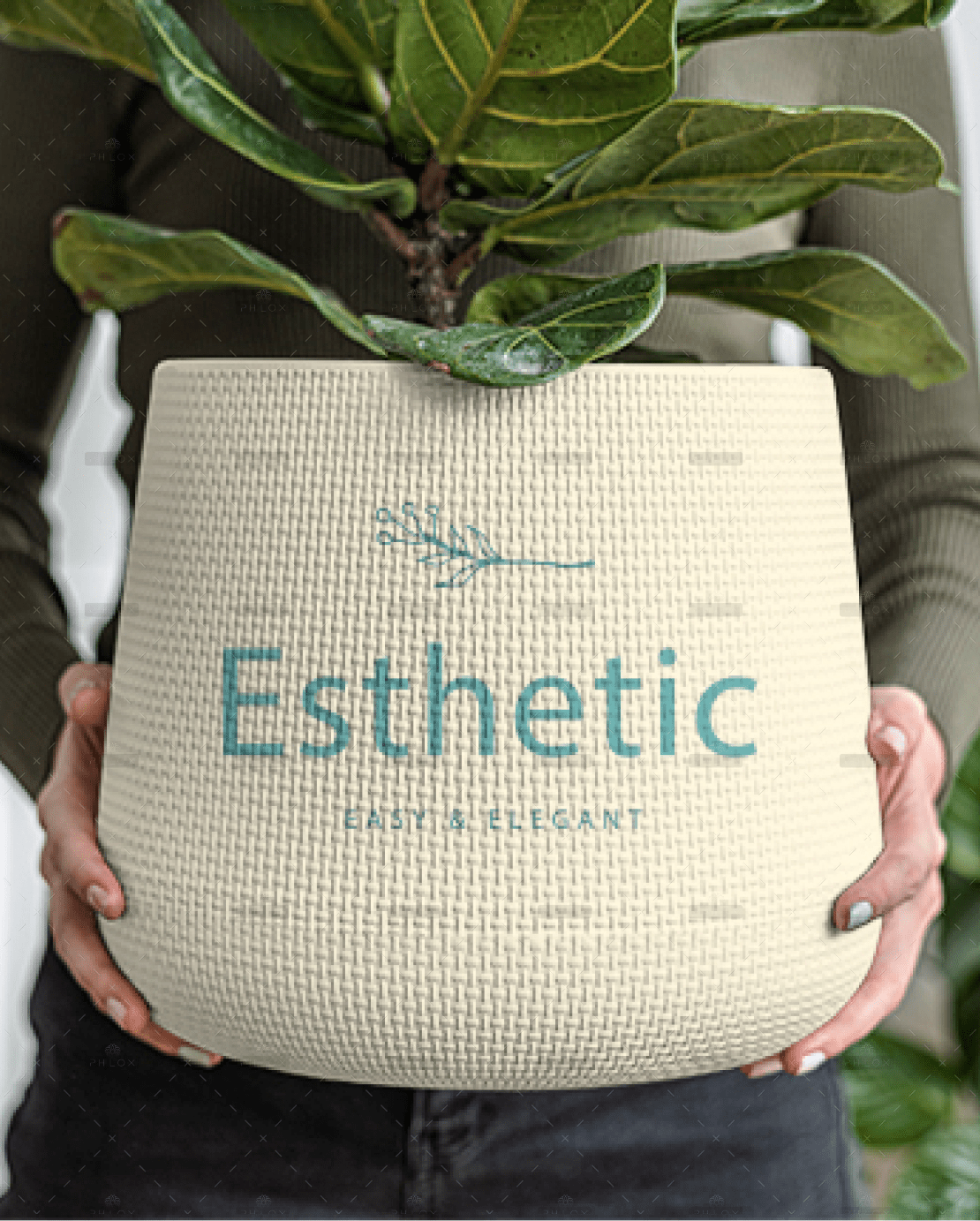 demo-attachment-205-Rectangle-6